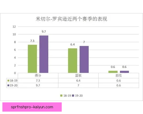 汉堡阵容深度解析：新赛季备受期待的走向与表现分析