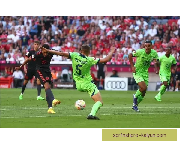 狼堡阵容深度分析：竞争力增强，备受期待的年轻球员逐渐崭露头角。