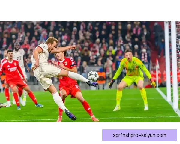 英超狼队莫利纽克斯表现稳健，持续提升赛季竞争力